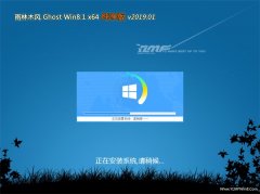 ľGhost Win8.1 64λ ƼV201901(⼤)